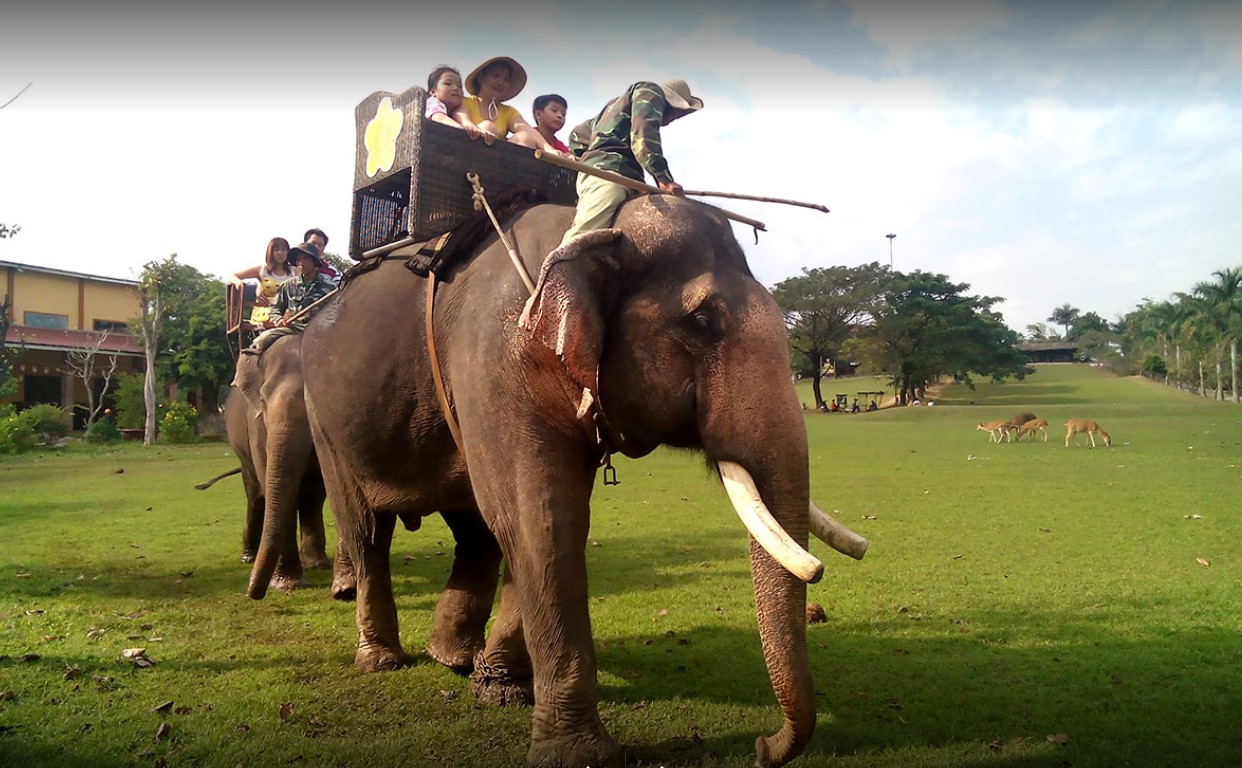 cởi voi - Du Lịch Sinh Thái Vườn Xoài