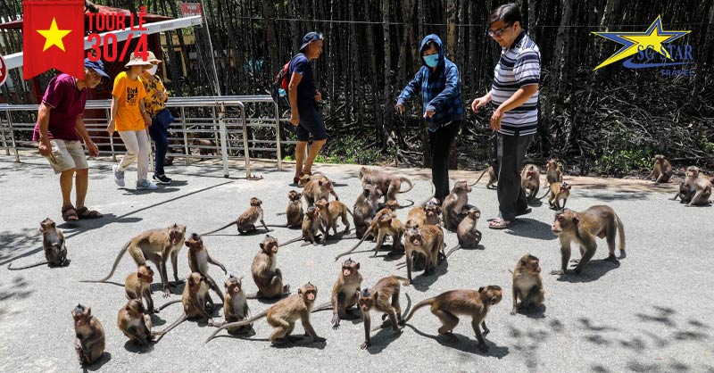Ngắm nhìn những chú khỉ đáng yêu tại Đảo Khỉ – Nha Trang