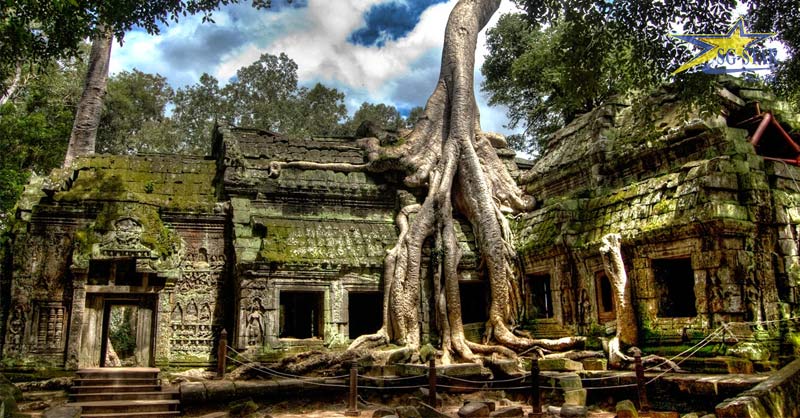 Đền Ta Prohm được bao quanh bởi những cây cổ thụ to lớn và kỳ lạ
