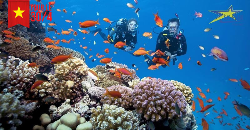 Trải nghiệm lặng ngắm san hô đầy thú vị tại Phú Quốc 2023