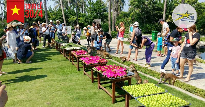 “Buffet” trái cây hàng tuần dành cho những chú khỉ tại Đảo Khỉ – Hòn Lao