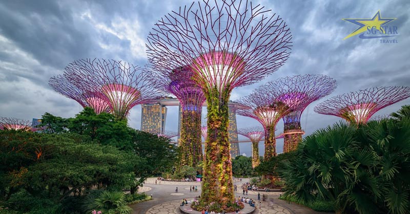 Chụp ảnh tại Khu vườn năng lượng “Garden By The Bay”