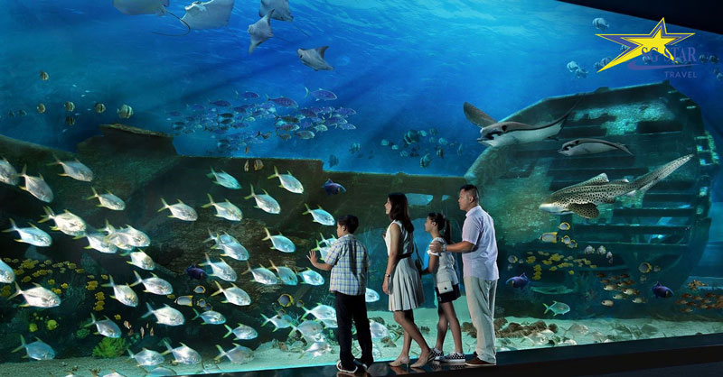 Sea Aquarium – Thuỷ cung lớn nhất thế giới