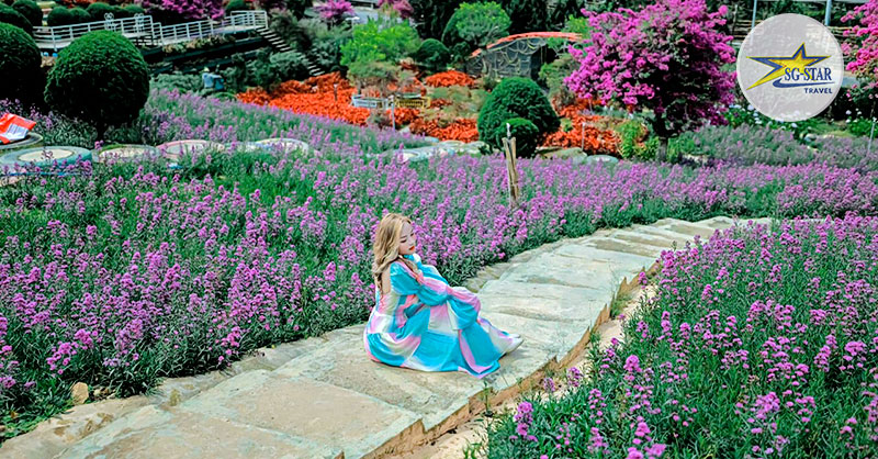 Quê Garden nổi tiếng với hàng trăm loài hoa và Bonsai