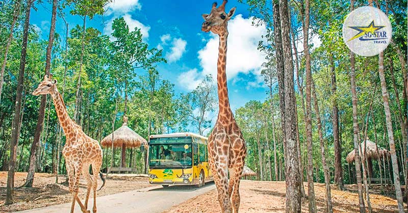 Thế Giới Động Vật Muôn Màu Ở Vinpearl Safari Phú Quốc